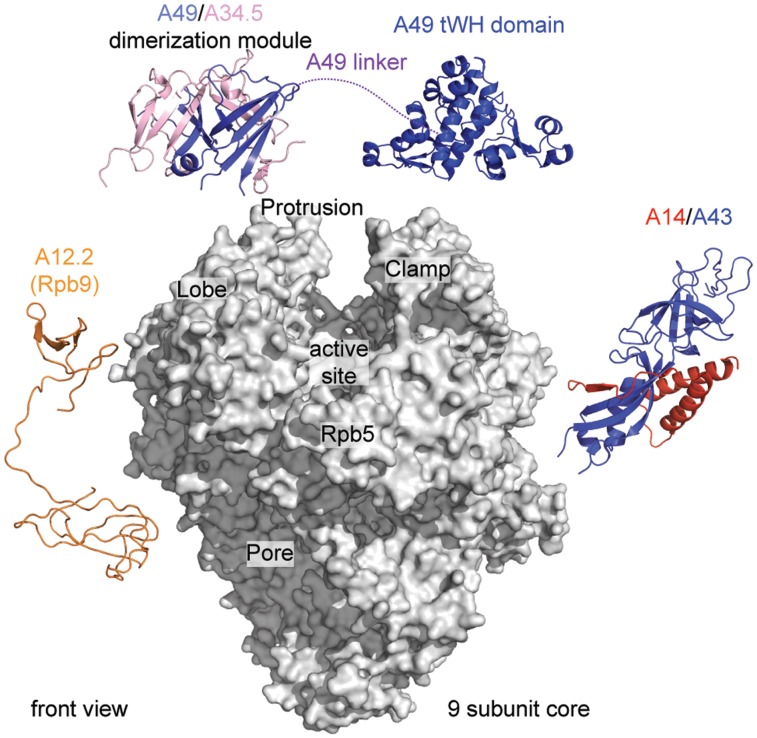 Figure 1.