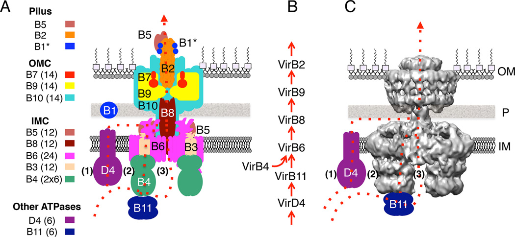 Figure 2