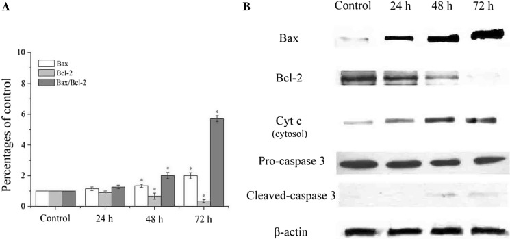 Fig. 6