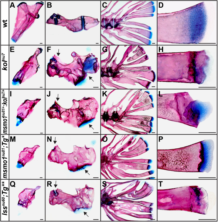 Fig. 4.