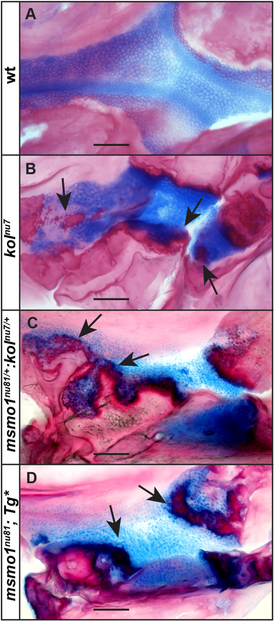 Fig. 7.