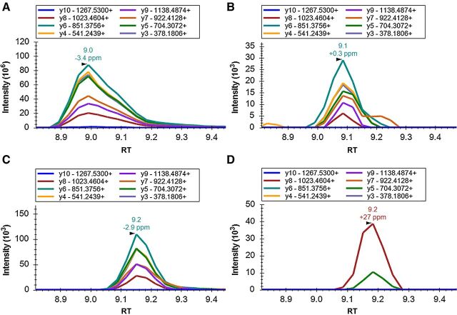 Figure 1. The extracted ion chromatogram for the tryptic peptide AEDTAFYYCAK unique to patient 004–069′s HC. The peptide was detected in diagnostic (PI) sample (A), in 15,625 times diluted PI serum (B), at M24 post-ASCT, when patient was at CR (C), but not in PI serum sample of patient 001–001 (D). RTs in minutes and mass accuracy in ppm of the most intense fragment ion are shown above the peak. The images were generated and analyzed with Skyline 20 software.