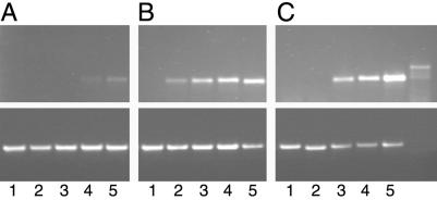 Fig 4.