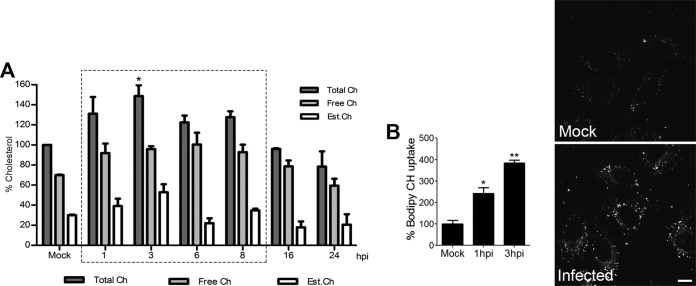 FIG 2