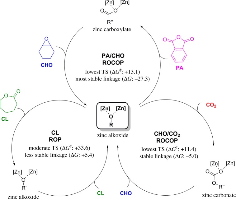 Scheme 2.