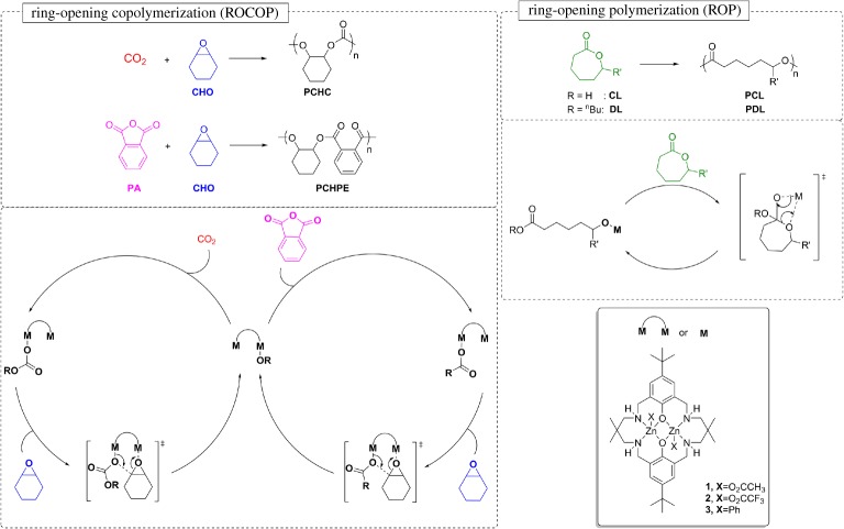 Scheme 1.