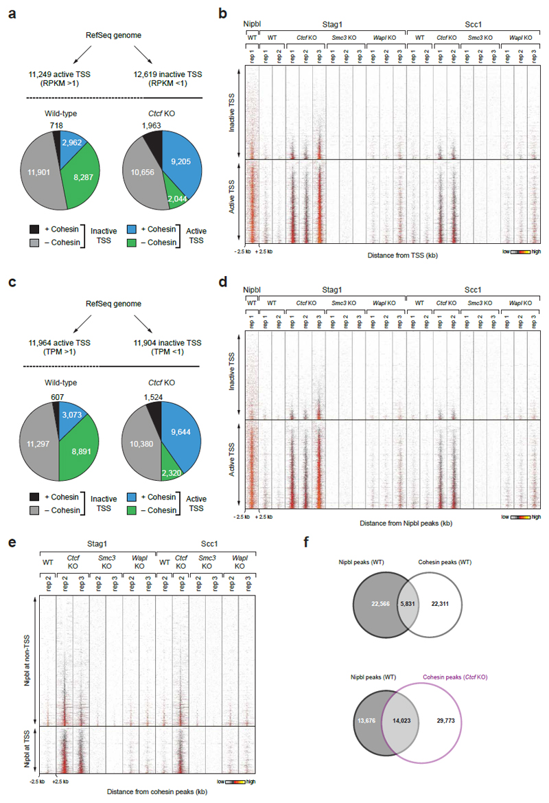 Extended Data Figure 4