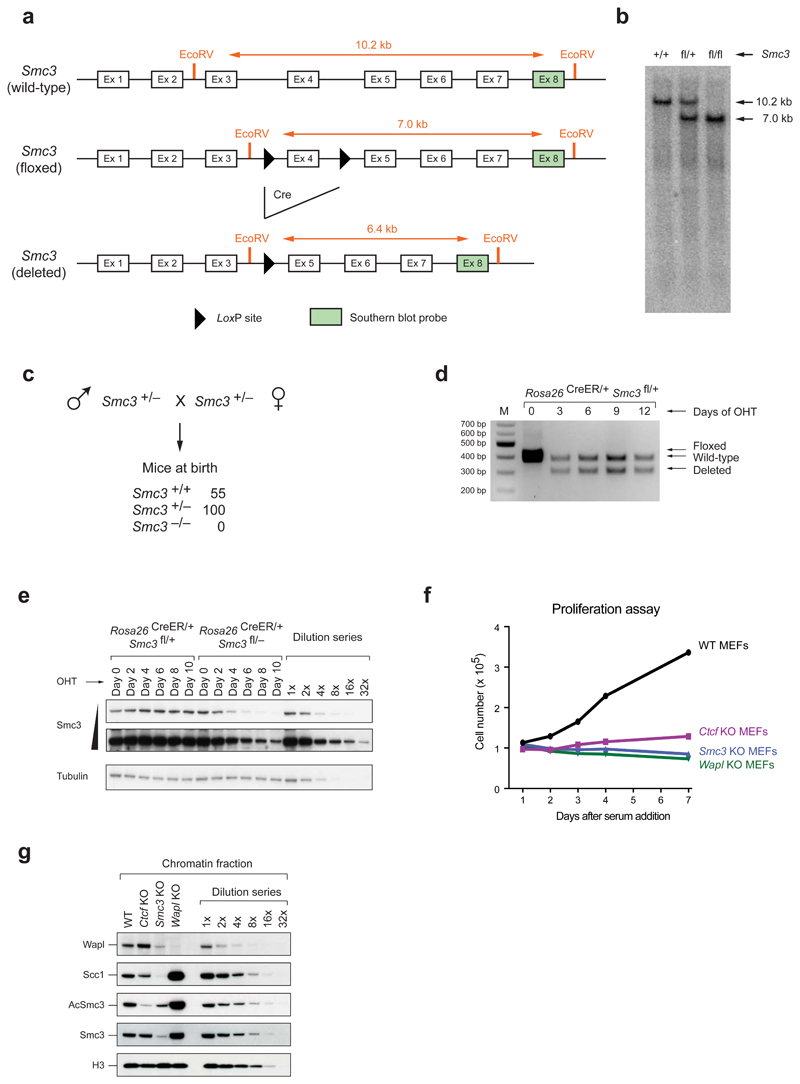 Extended Data Figure 1