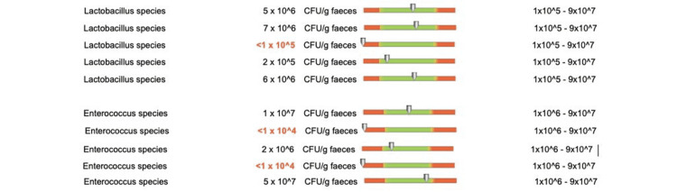 Figure 13