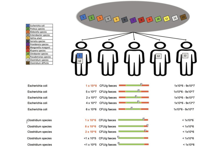 Figure 11