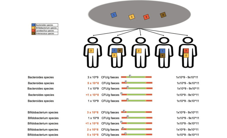 Figure 12