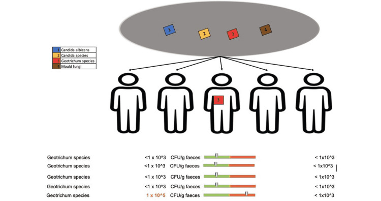 Figure 14