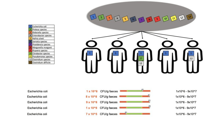 Figure 15