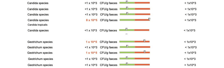 Figure 20