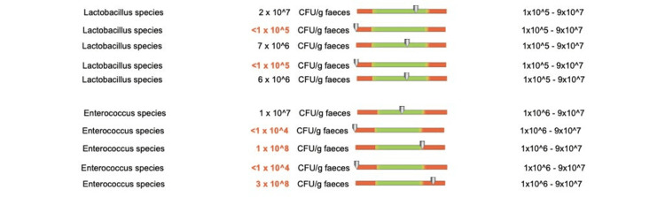 Figure 18