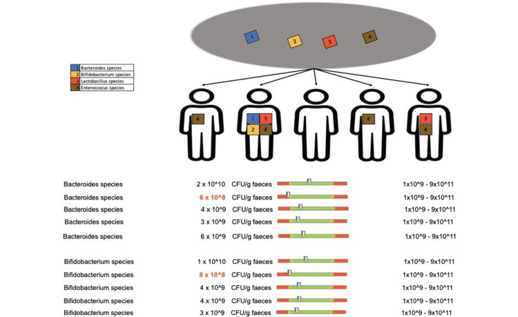 Figure 17