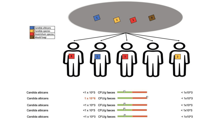 Figure 19