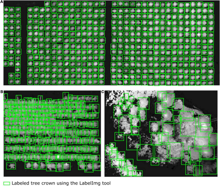 FIGURE 2