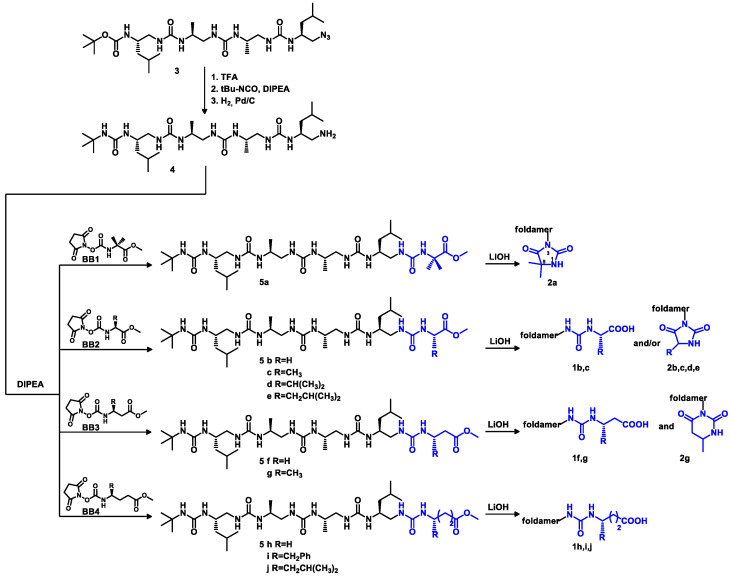 Scheme 1