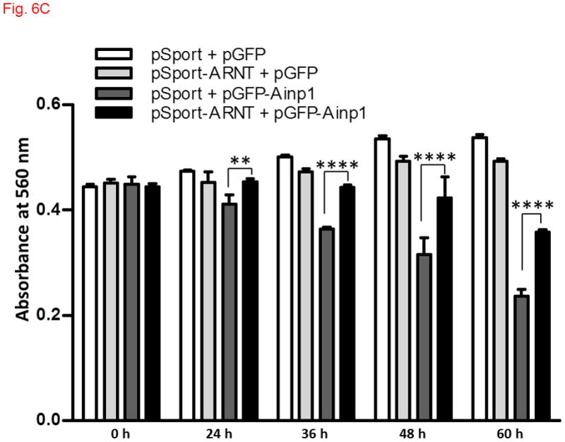 Fig. 6