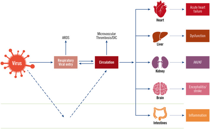 FIGURE 1