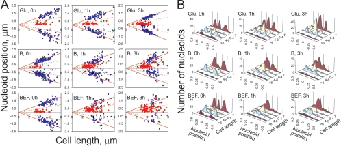 FIG. 4.