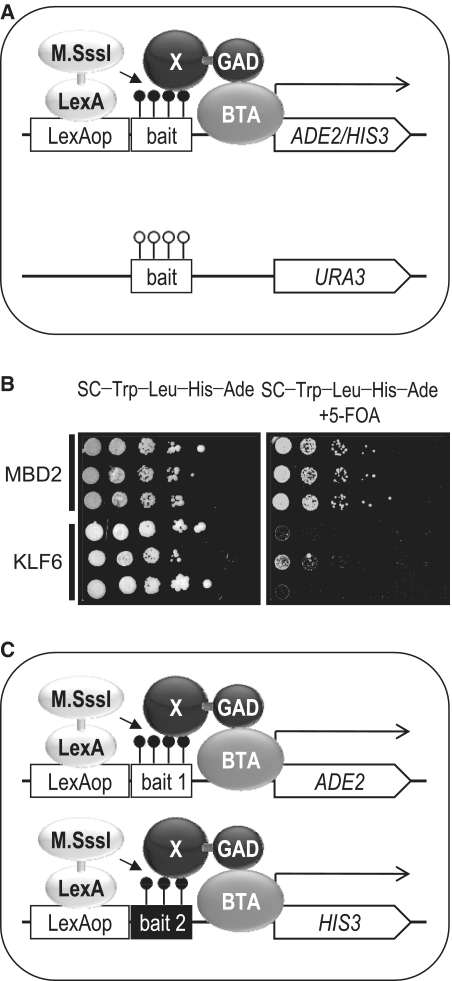 Figure 3.