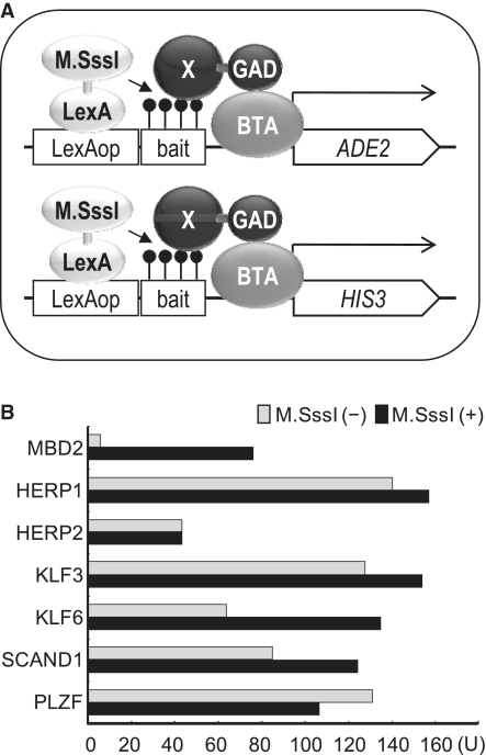 Figure 2.