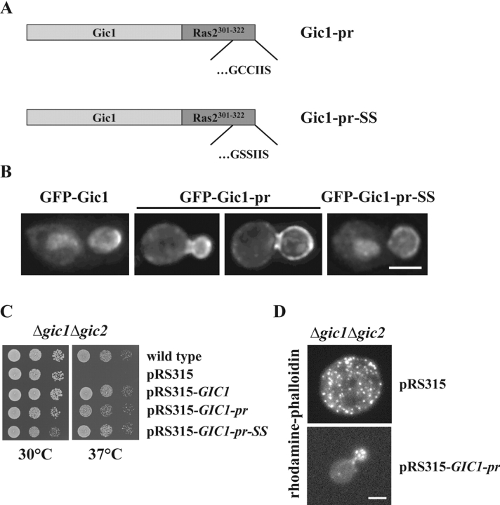 Figure 6.