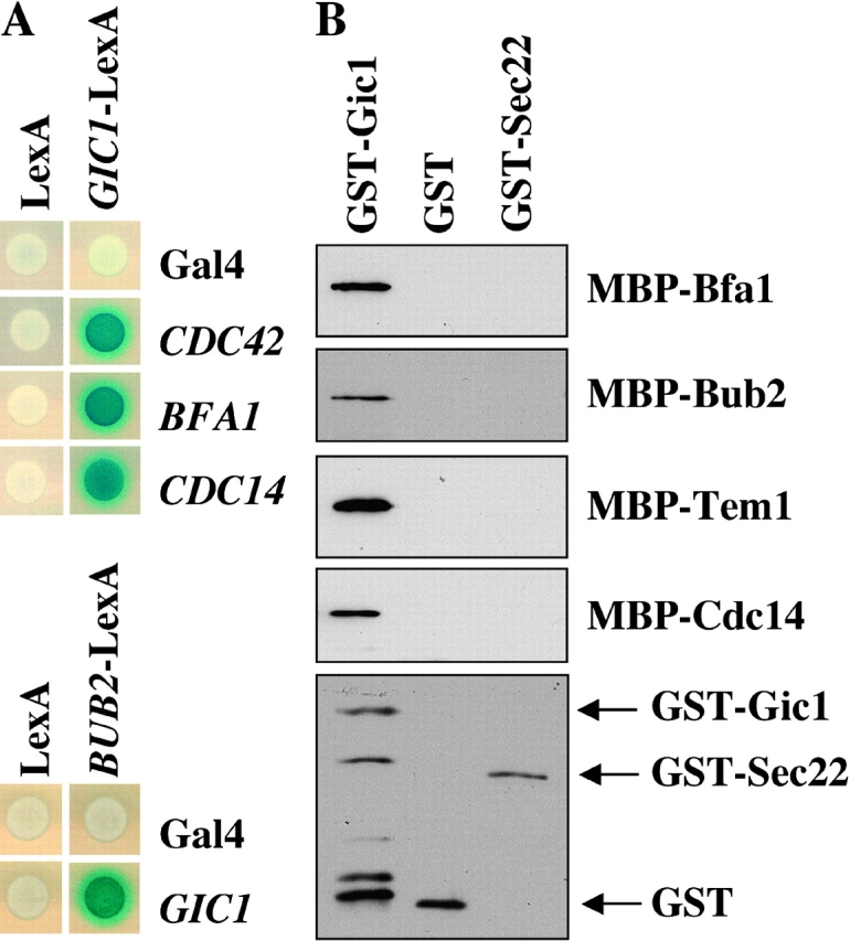 Figure 3.