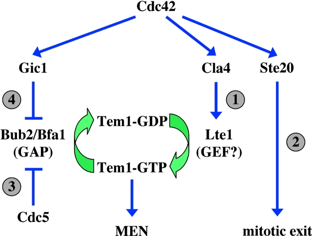 Figure 7.