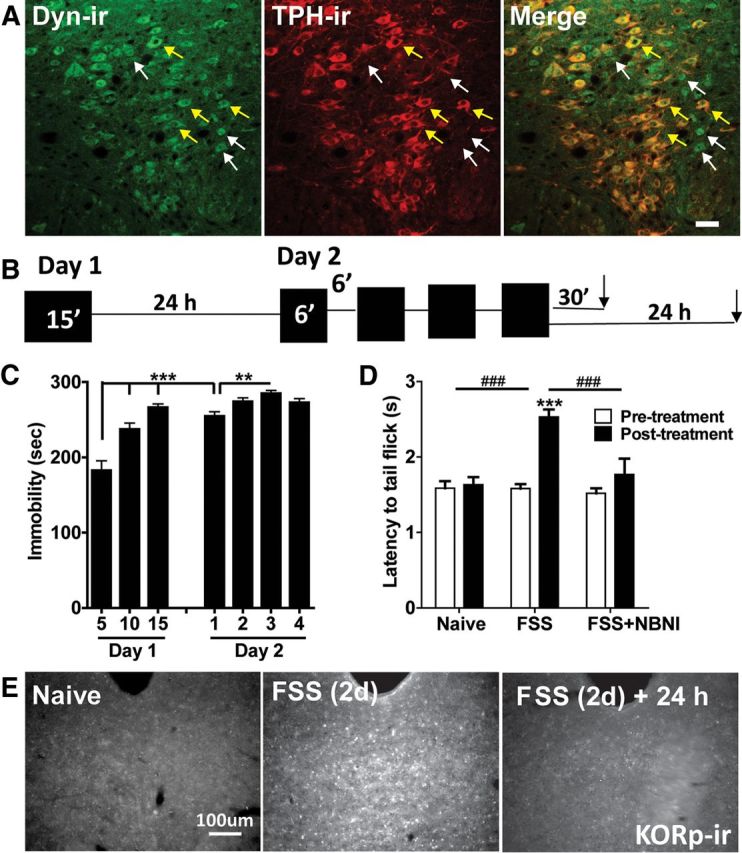 Figure 5.