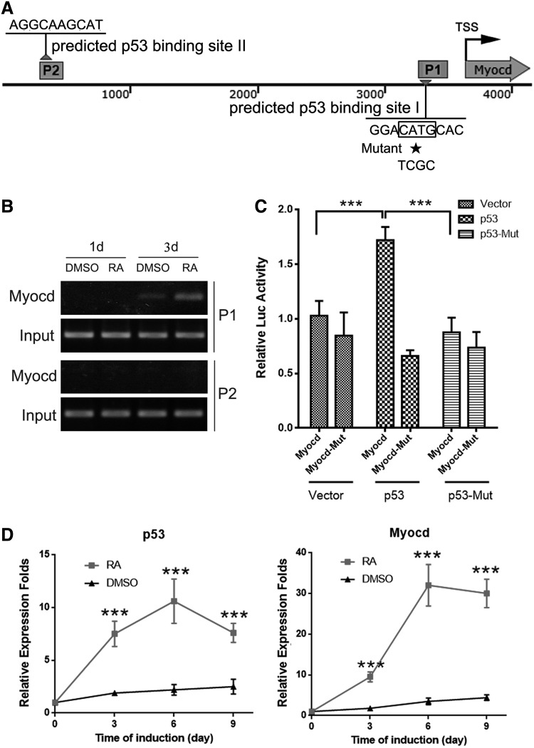 FIG. 3.