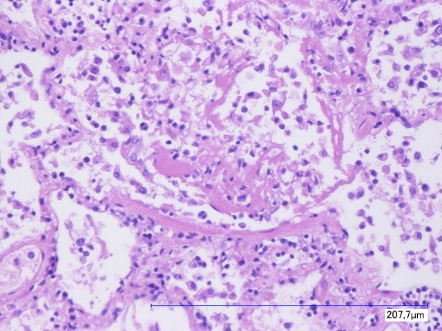 Fig. 5