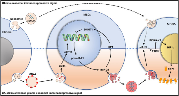 graphic file with name 12951_2023_1997_Figa_HTML.jpg