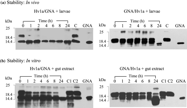 Fig. 4