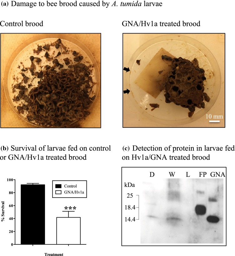 Fig. 3