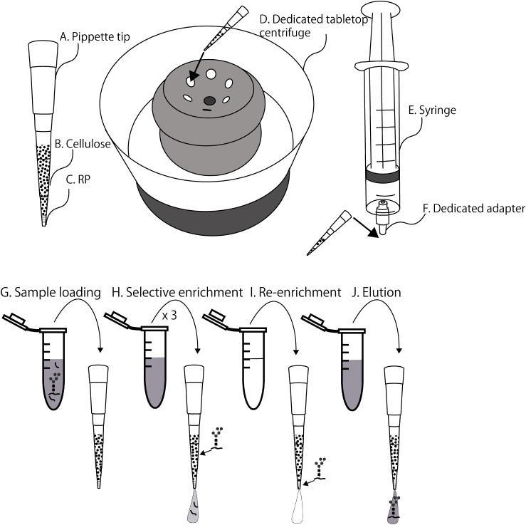 Fig. 1. Illustration of equipment and enrichment procedures.