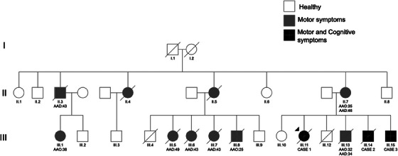 FIGURE 1