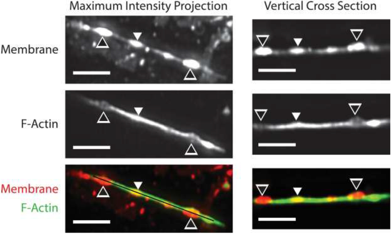 Figure 7: