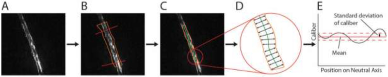 Figure 3: