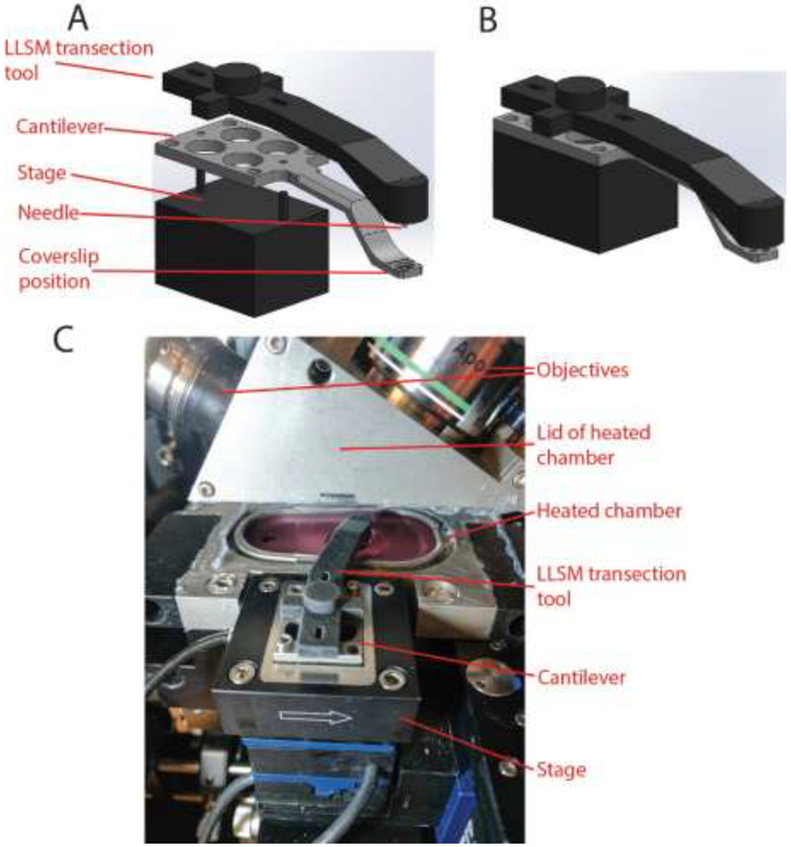 Figure 2: