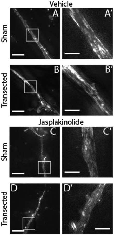 Figure 4: