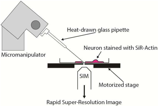 Figure 1: