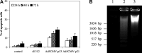 Fig. 4A,B. A