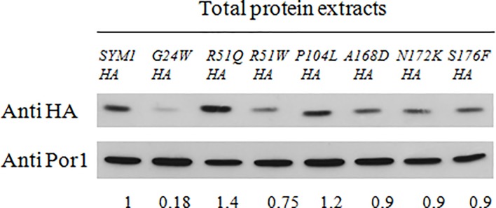 Fig 4