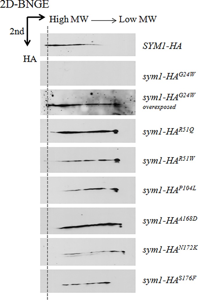 Fig 5