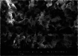 Fig 20