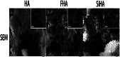 Fig 19