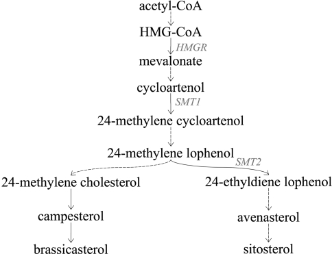 Fig. 3